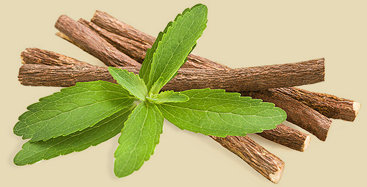 pianta di Stevia